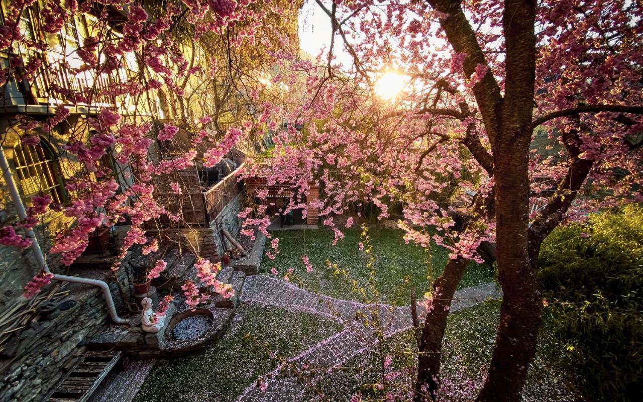 Gartenloft An Der Mur موراو المظهر الخارجي الصورة
